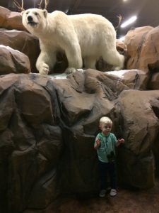 Polar Bear exhibit